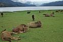 WT 1000 191e02 e004 Nepal